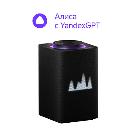 Умная колонка Яндекс.Станция Макс с Zigbee YNDX-00053 (YNDX-00053K) с Алисой +пульт Черный/black