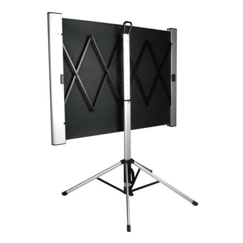 Экран Cactus 102x180см TriAlExpert CS-PSTALE-180X102 16:9 напольный рулонный