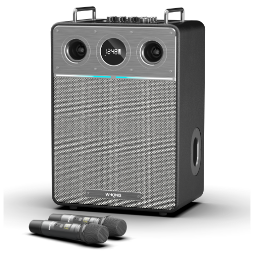 Портативная колонка W-King T6Pro черный