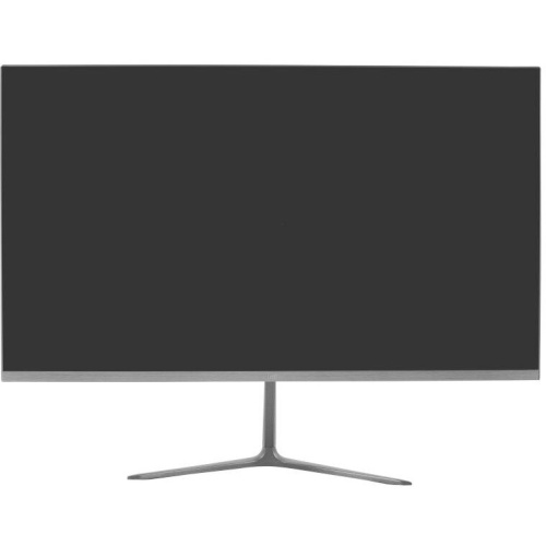 Монитор LEFF 24FV100