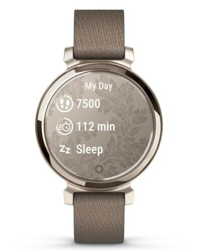 Смарт-часы Garmin Lily 2 Classic