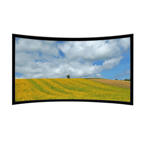 Экран Lumien Cinema Home (LCH-100108) White