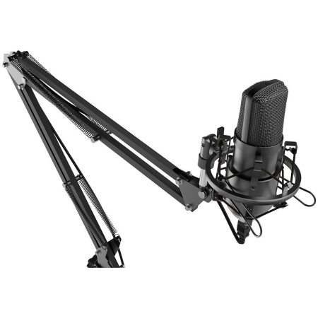 Микрофон Ritmix RDM-180 черный