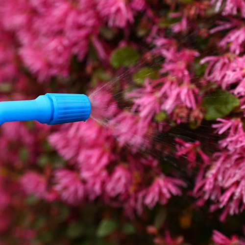 Опрыскиватель Deko DKSP08 зеленый/голубой (065-0940)