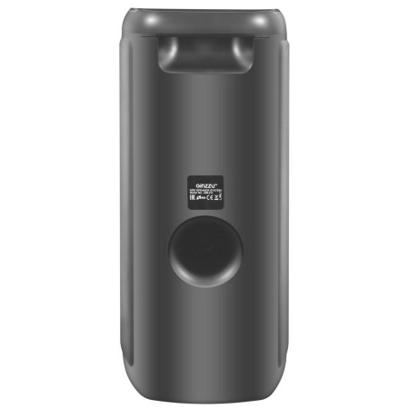 Акустическая система Ginzzu GM-211