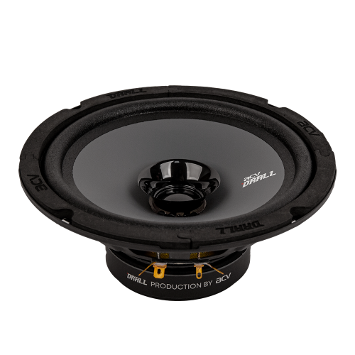 Акустика ACV DR6 Drall эстрадная 6.5"широкополосная