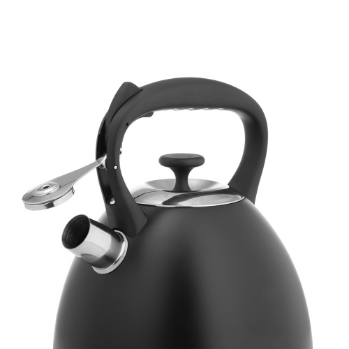 Чайник LARA LR00-74 Черный матовый 3.0л